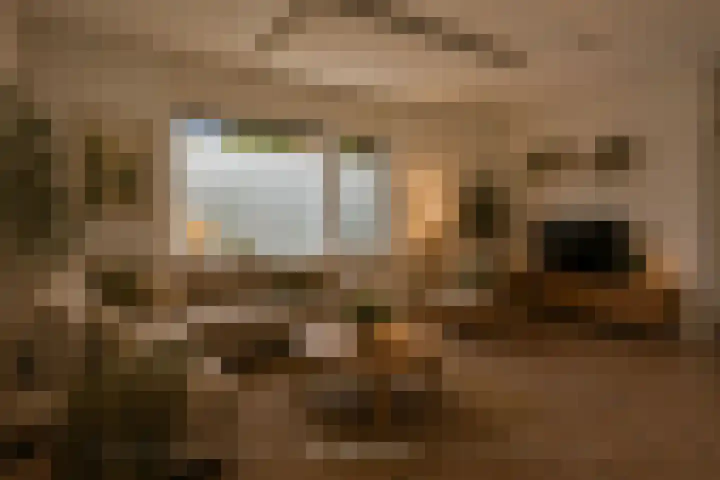 Grebbeberglaan 46 Eindhoven thumbnail 34
