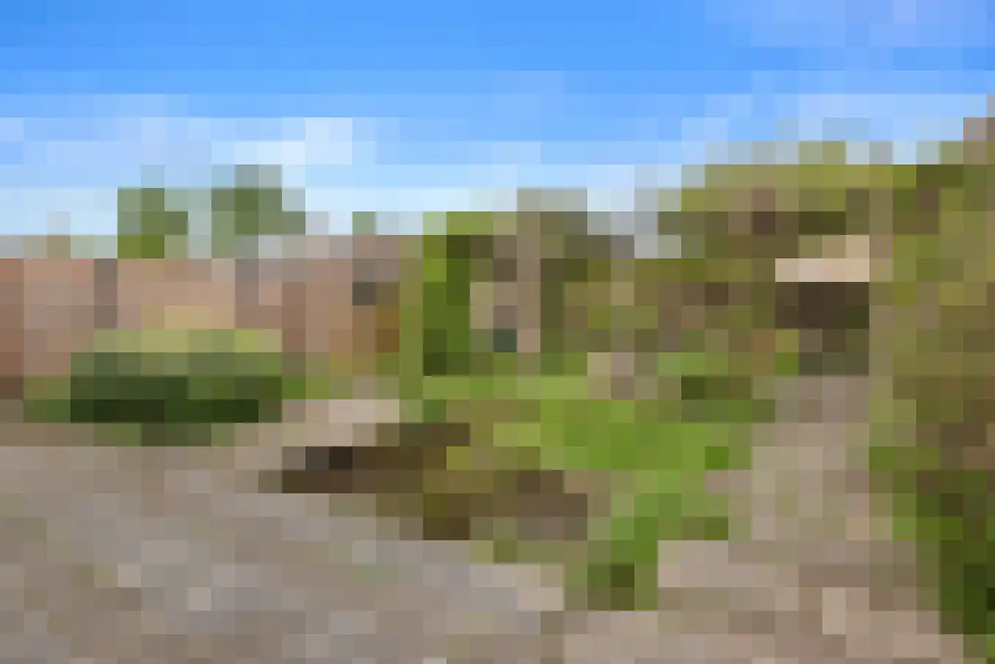 Grebbeberglaan 46 Eindhoven thumbnail 44