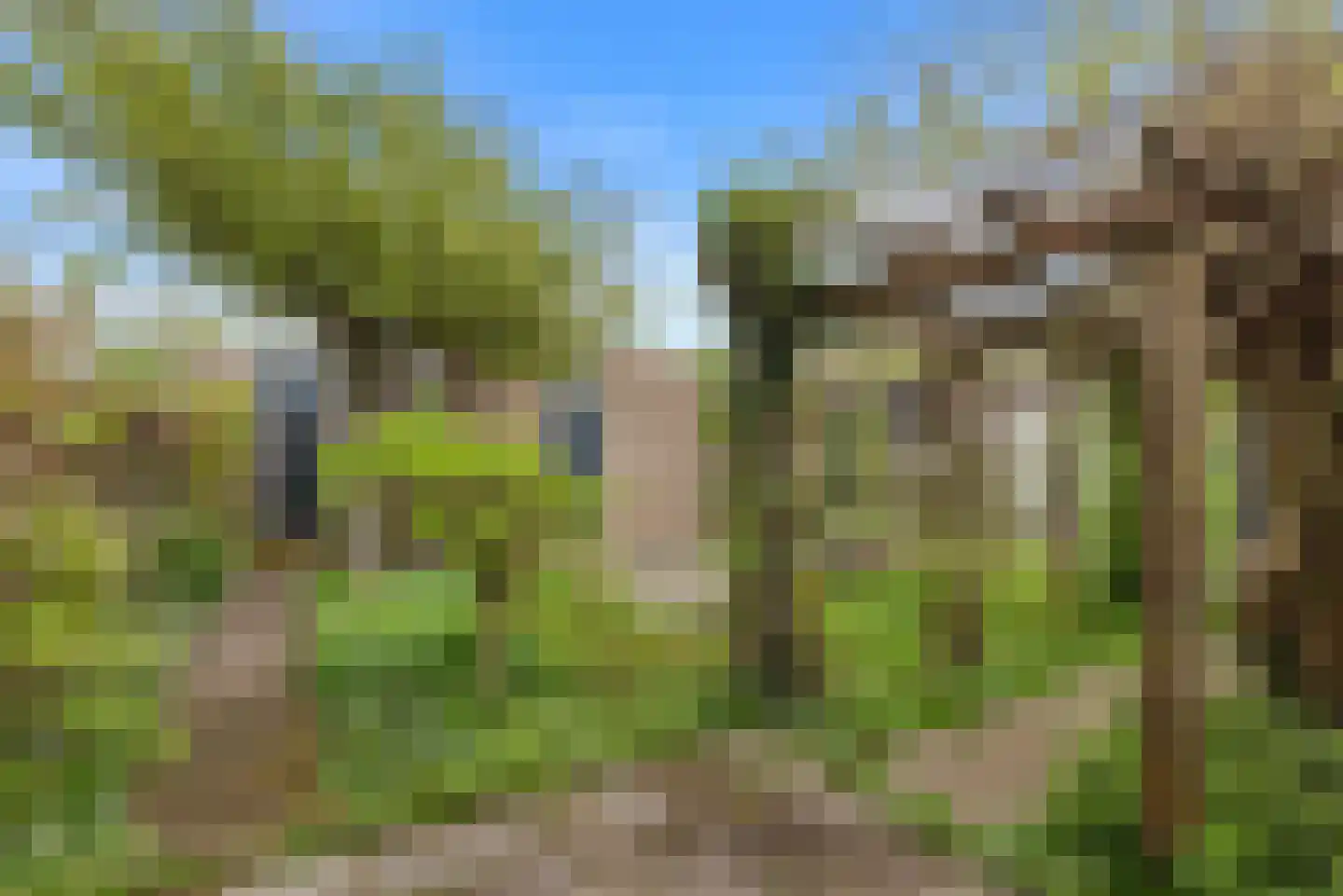 Grebbeberglaan 46 Eindhoven thumbnail 47