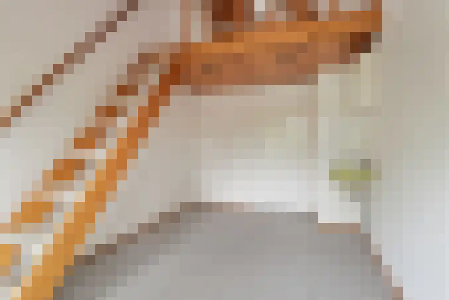 Grebbeberglaan 46 Eindhoven thumbnail 5