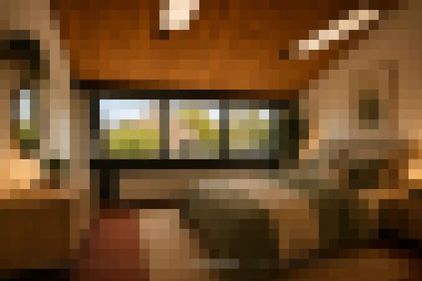 Grebbeberglaan 46 Eindhoven thumbnail 59