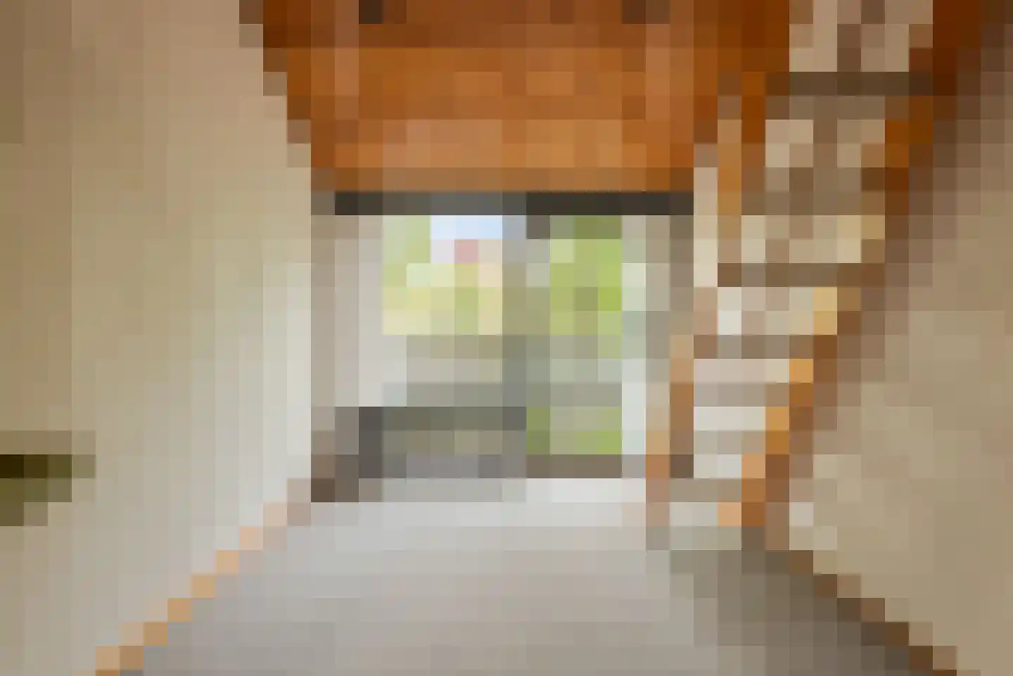 Grebbeberglaan 46 Eindhoven thumbnail 61