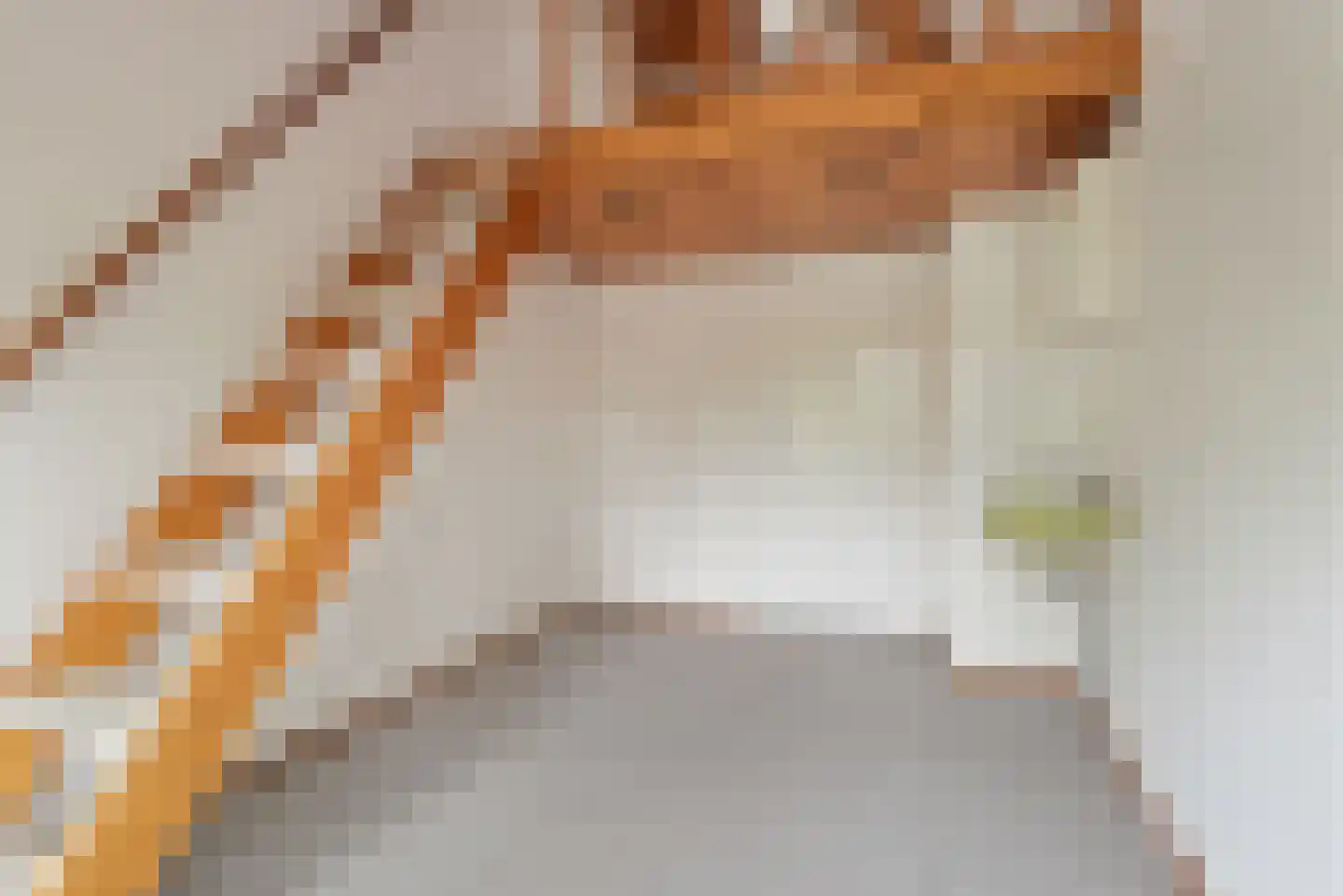 Grebbeberglaan 46 Eindhoven thumbnail 62