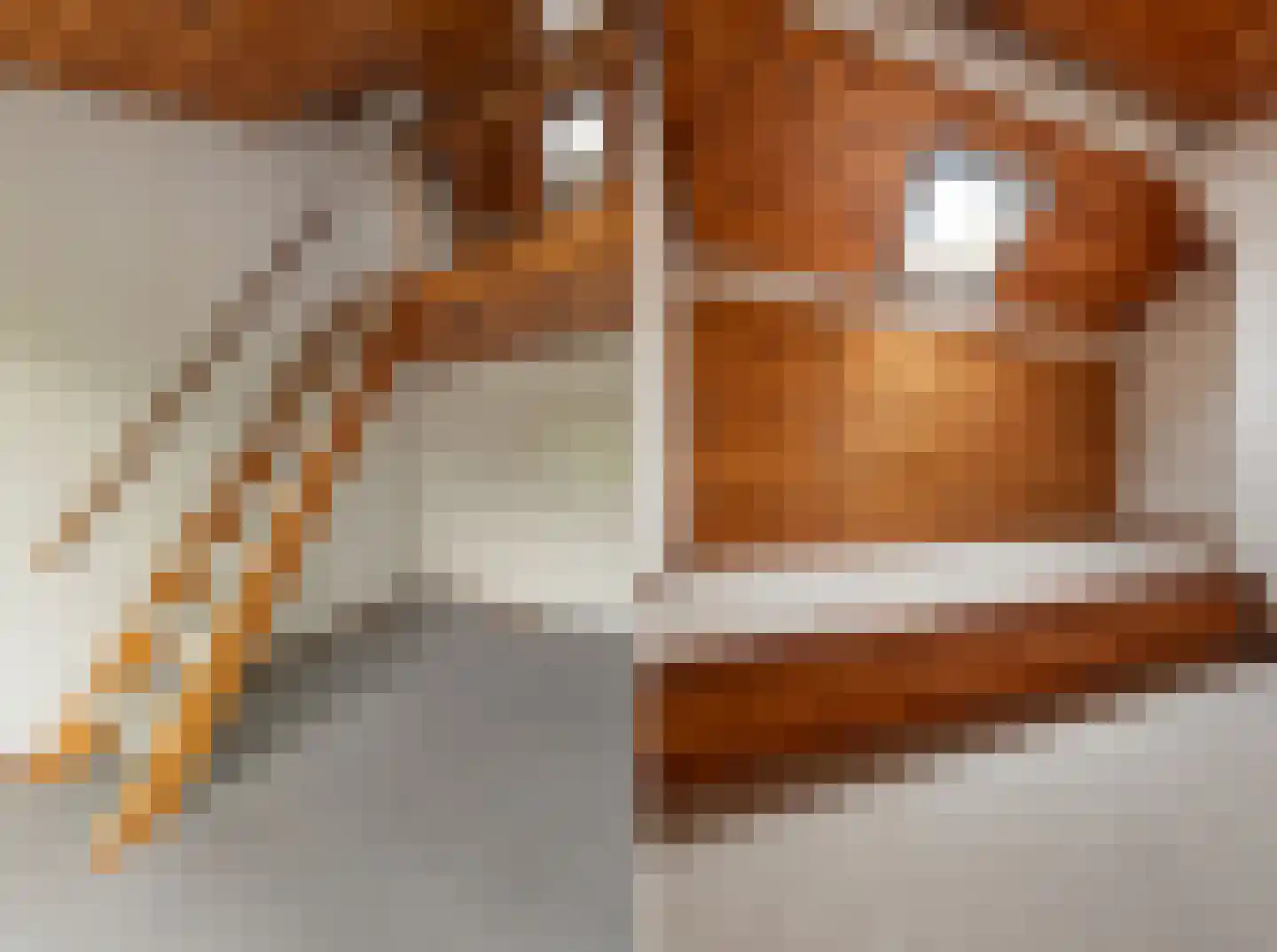 Grebbeberglaan 46 Eindhoven thumbnail 63
