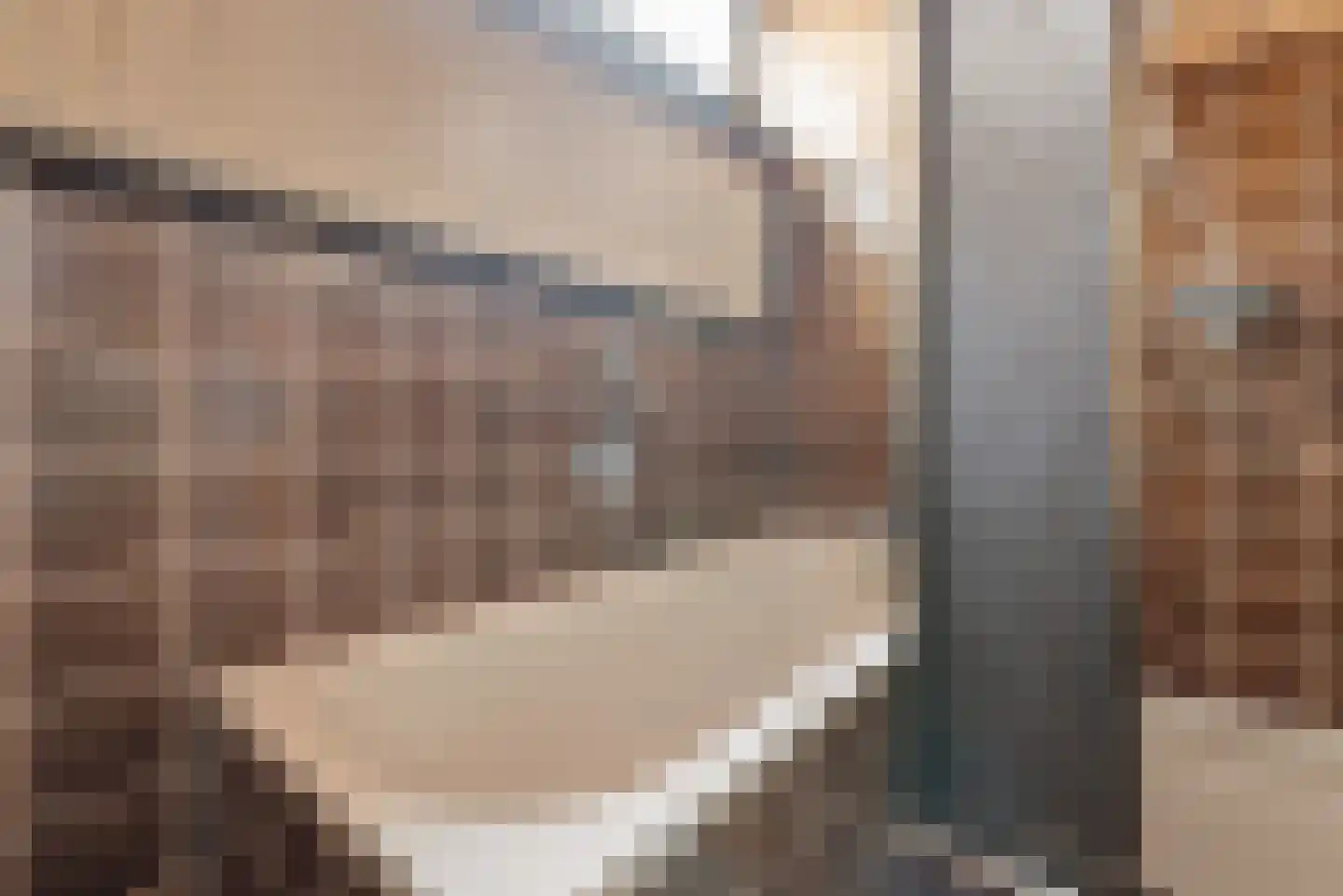 Grebbeberglaan 46 Eindhoven thumbnail 65