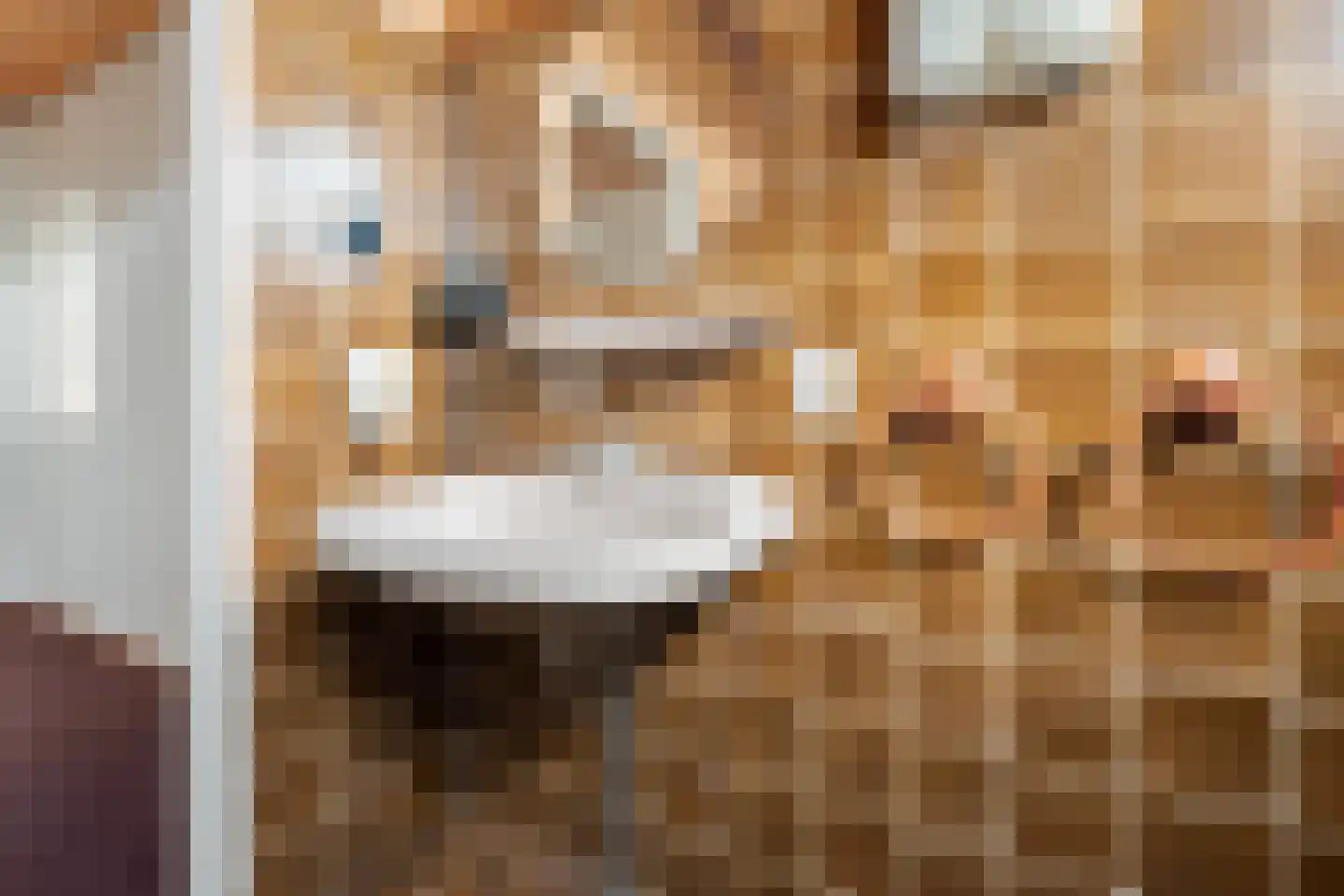 Grebbeberglaan 46 Eindhoven thumbnail 66