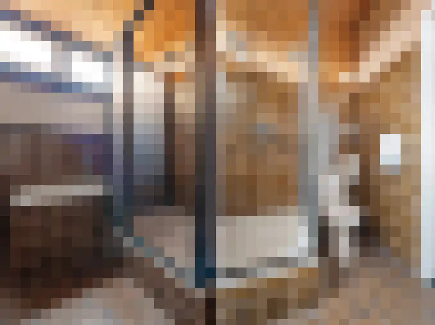 Grebbeberglaan 46 Eindhoven thumbnail 67
