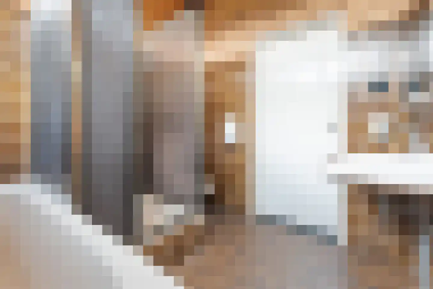 Grebbeberglaan 46 Eindhoven thumbnail 68