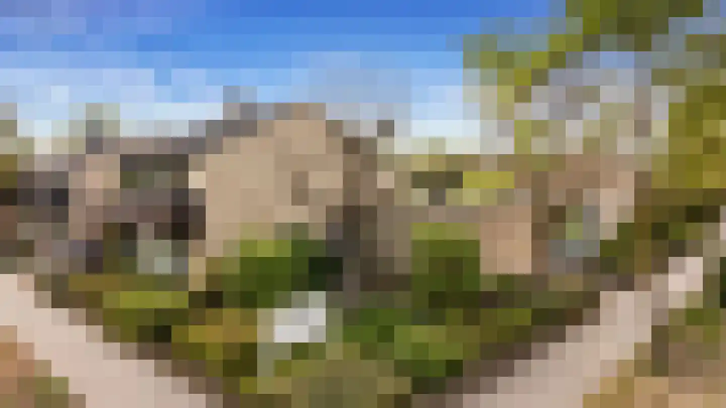Grebbeberglaan 46 Eindhoven thumbnail 72