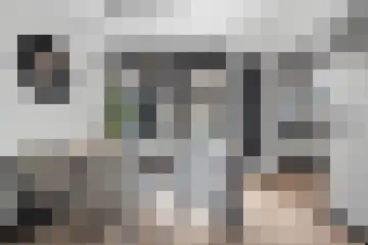 Grebbeberglaan 55 Eindhoven thumbnail 15
