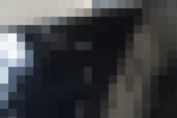 Grebbeberglaan 55 Eindhoven thumbnail 19