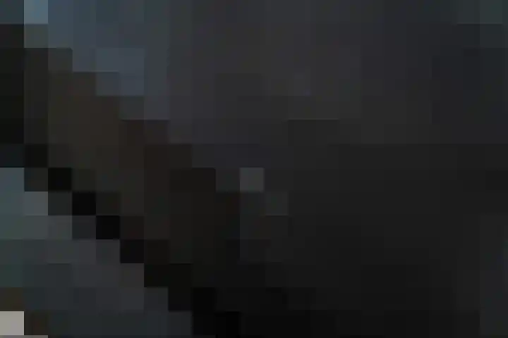 Grebbeberglaan 55 Eindhoven thumbnail 20