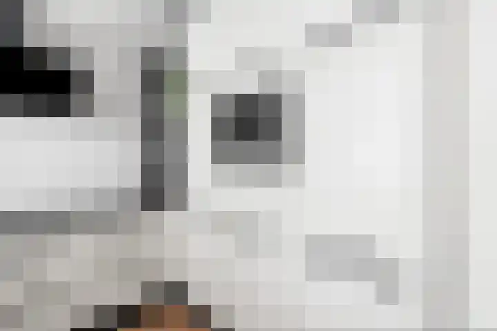 Grebbeberglaan 55 Eindhoven thumbnail 21