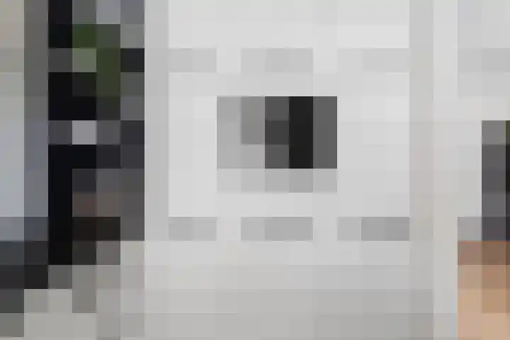 Grebbeberglaan 55 Eindhoven thumbnail 23