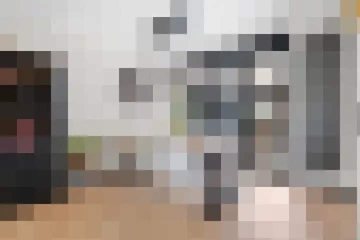 Grebbeberglaan 55 Eindhoven thumbnail 24