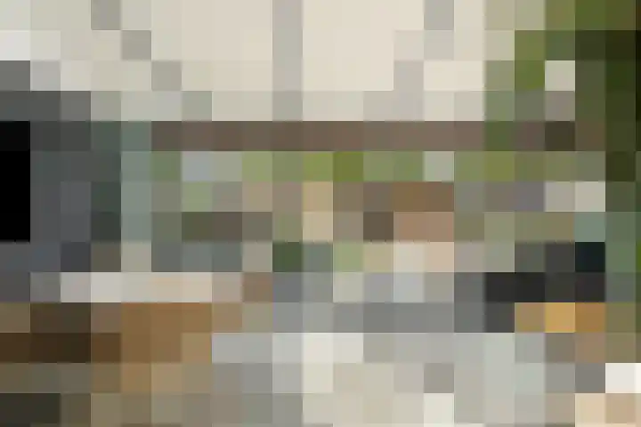 Grebbeberglaan 55 Eindhoven thumbnail 27