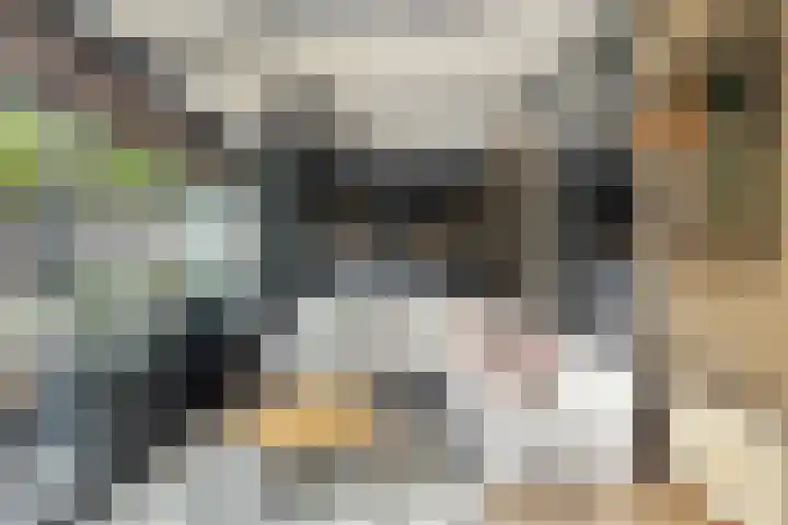 Grebbeberglaan 55 Eindhoven thumbnail 28