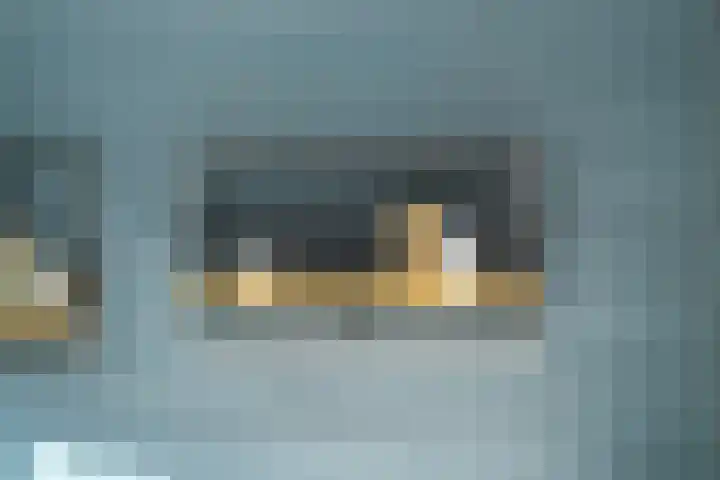 Grebbeberglaan 55 Eindhoven thumbnail 29
