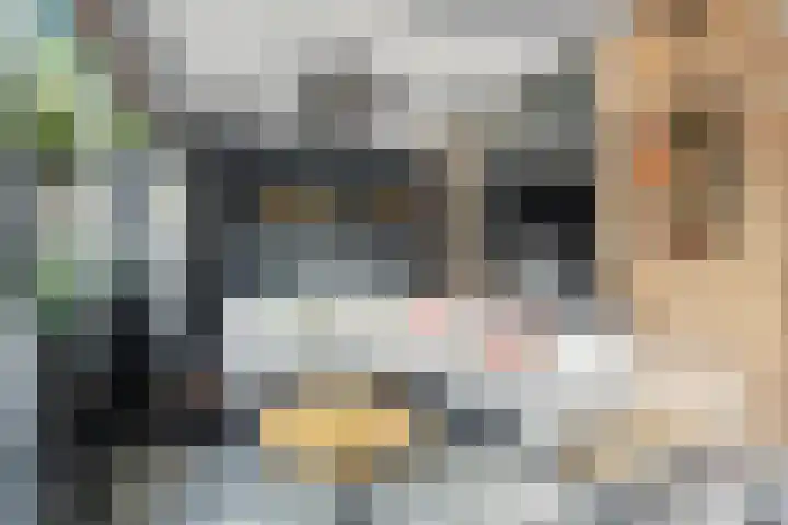 Grebbeberglaan 55 Eindhoven thumbnail 31