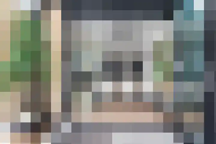 Grebbeberglaan 55 Eindhoven thumbnail 33