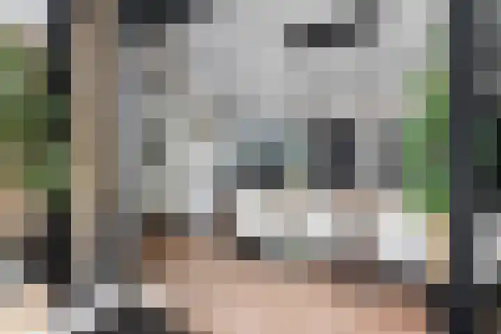 Grebbeberglaan 55 Eindhoven thumbnail 34