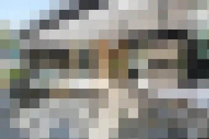 Grebbeberglaan 55 Eindhoven thumbnail 36