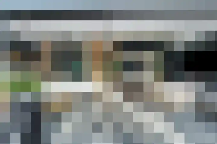 Grebbeberglaan 55 Eindhoven thumbnail 37