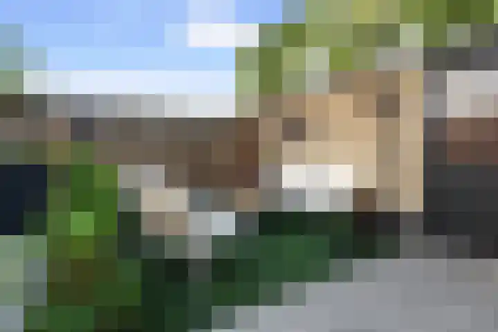 Grebbeberglaan 55 Eindhoven thumbnail 39