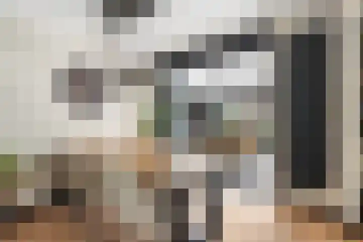 Grebbeberglaan 55 Eindhoven thumbnail 4