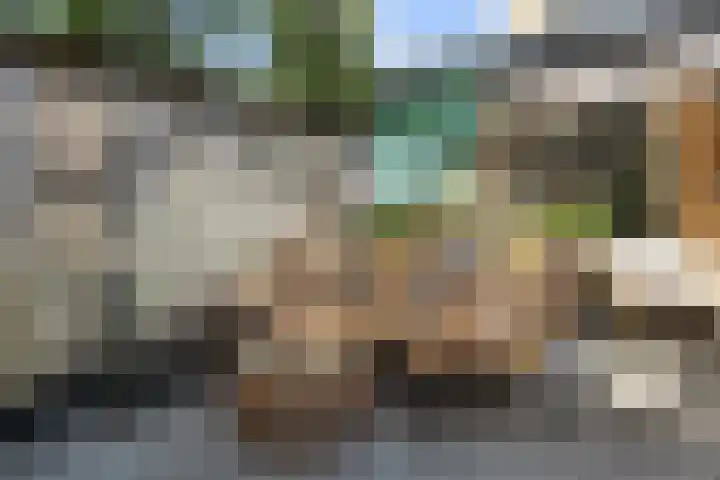 Grebbeberglaan 55 Eindhoven thumbnail 41