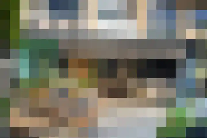 Grebbeberglaan 55 Eindhoven thumbnail 45