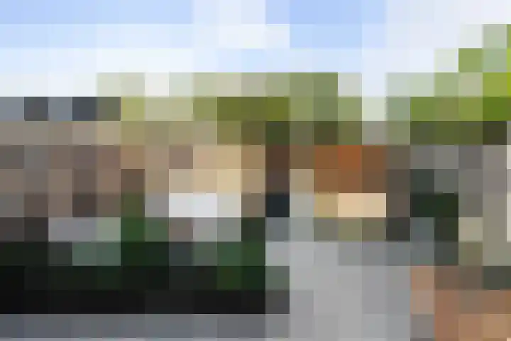 Grebbeberglaan 55 Eindhoven thumbnail 46