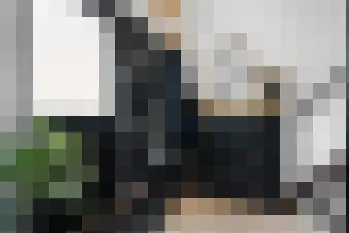 Grebbeberglaan 55 Eindhoven thumbnail 47