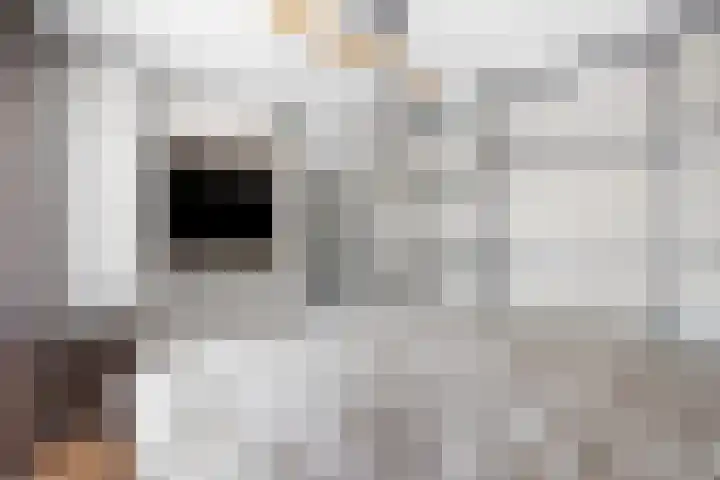 Grebbeberglaan 55 Eindhoven thumbnail 51