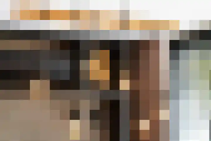 Grebbeberglaan 55 Eindhoven thumbnail 52