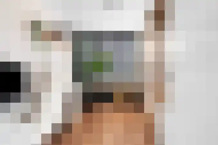 Grebbeberglaan 55 Eindhoven thumbnail 59