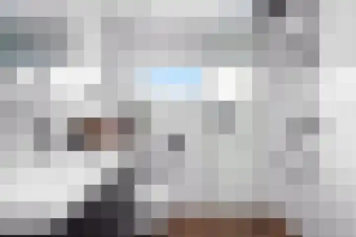 Grebbeberglaan 55 Eindhoven thumbnail 61