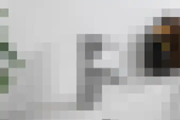 Grebbeberglaan 55 Eindhoven thumbnail 62