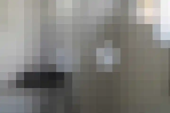 Grebbeberglaan 55 Eindhoven thumbnail 64