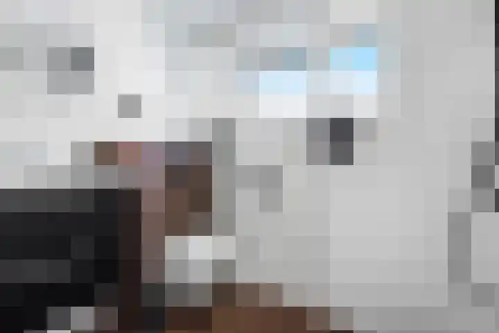 Grebbeberglaan 55 Eindhoven thumbnail 65