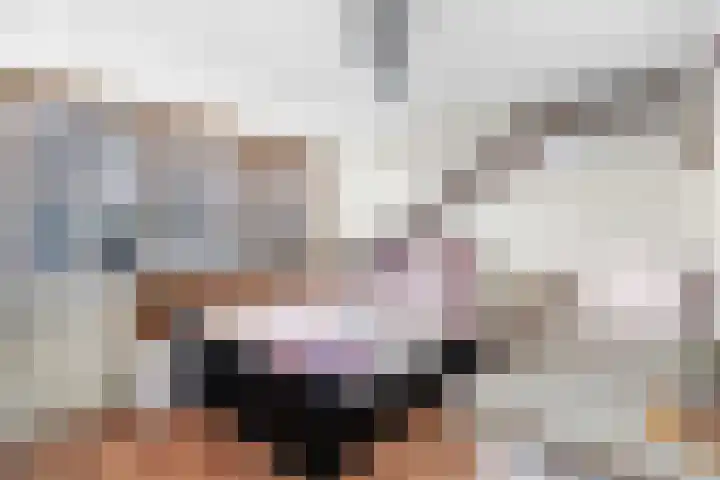 Grebbeberglaan 55 Eindhoven thumbnail 68