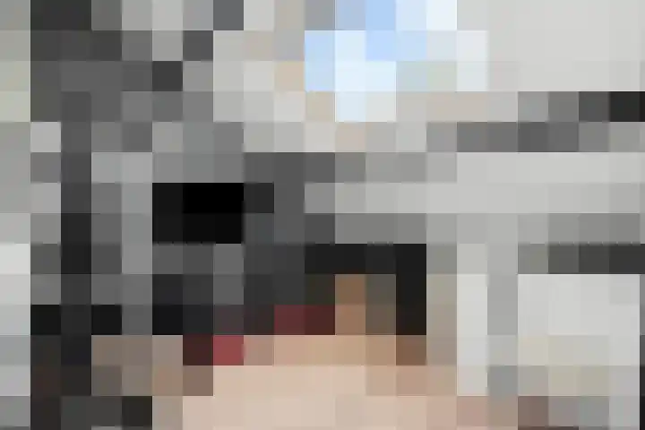 Grebbeberglaan 55 Eindhoven thumbnail 71
