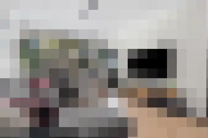 Grebbeberglaan 55 Eindhoven thumbnail 9