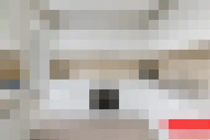 Grebbeberglaan 57 Eindhoven thumbnail 15