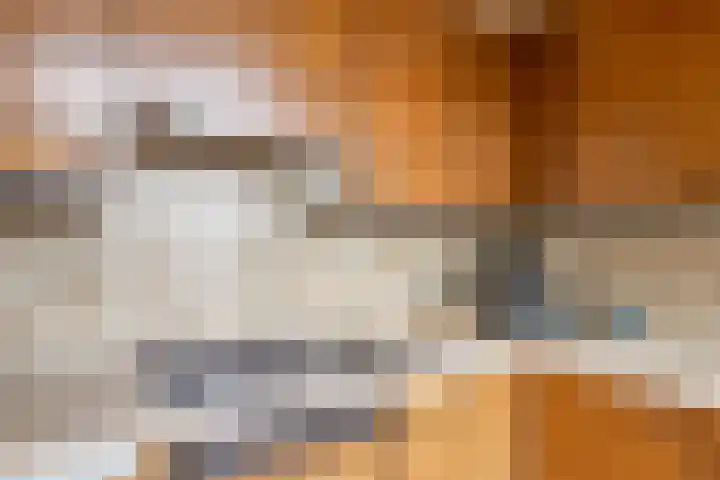 Grebbeberglaan 57 Eindhoven thumbnail 16
