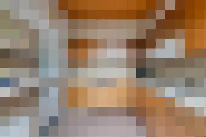 Grebbeberglaan 57 Eindhoven thumbnail 17