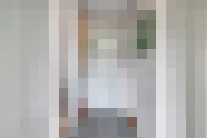 Grebbeberglaan 57 Eindhoven thumbnail 18