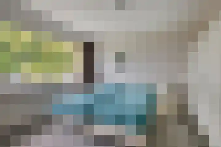 Grebbeberglaan 57 Eindhoven thumbnail 19