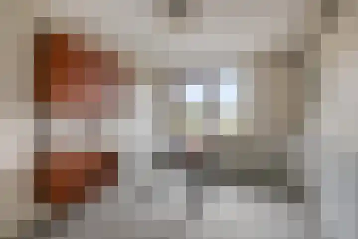 Grebbeberglaan 57 Eindhoven thumbnail 23