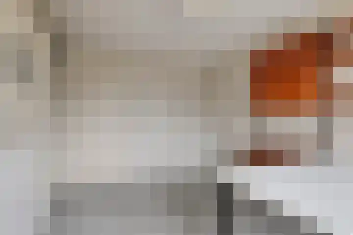 Grebbeberglaan 57 Eindhoven thumbnail 24